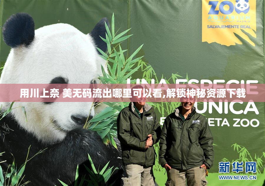 用川上奈 美无码流出哪里可以看,解锁神秘资源下载