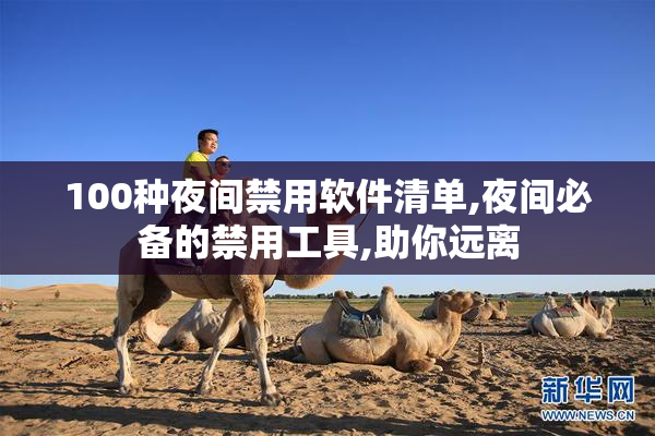 100种夜间禁用软件清单,夜间必备的禁用工具,助你远离