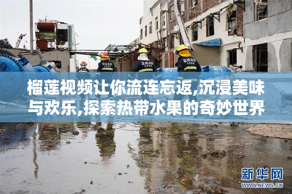 榴莲视频让你流连忘返,沉浸美味与欢乐,探索热带水果的奇妙世界