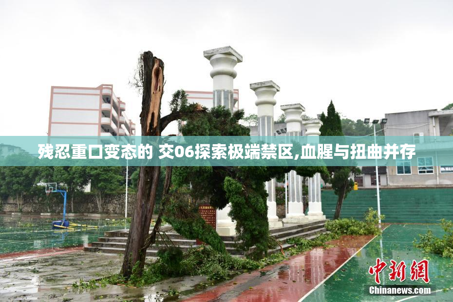 残忍重口变态的 交06探索极端禁区,血腥与扭曲并存