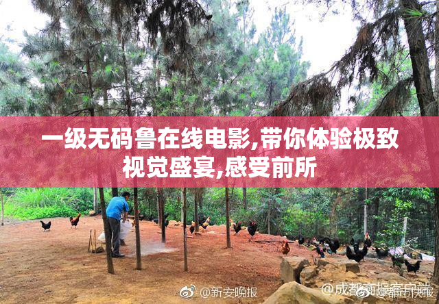 一级无码鲁在线电影,带你体验极致视觉盛宴,感受前所