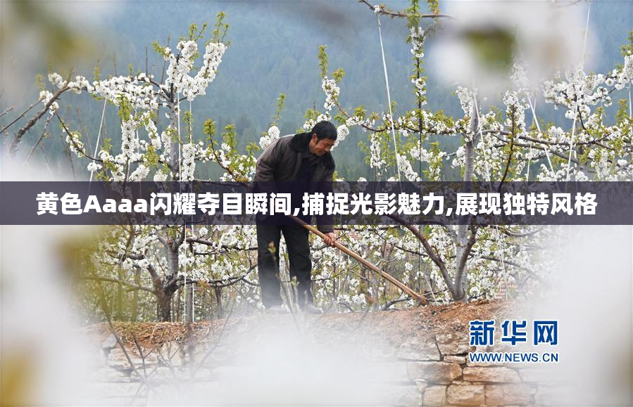 黄色Aaaa闪耀夺目瞬间,捕捉光影魅力,展现独特风格