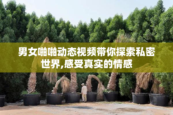 男女啪啪动态视频带你探索私密世界,感受真实的情感