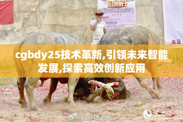 cgbdy25技术革新,引领未来智能发展,探索高效创新应用