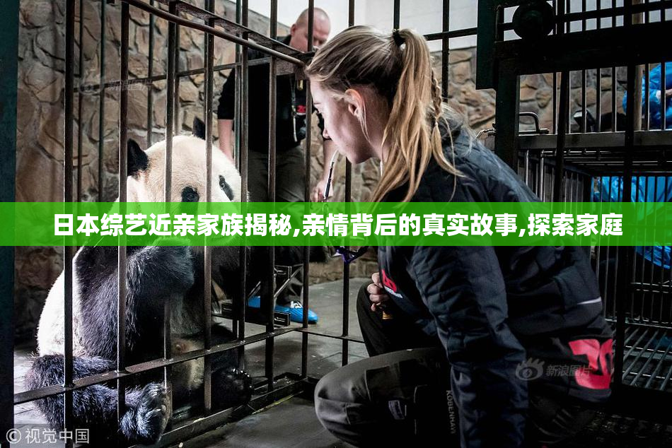 日本综艺近亲家族揭秘,亲情背后的真实故事,探索家庭