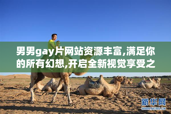 男男gay片网站资源丰富,满足你的所有幻想,开启全新视觉享受之旅