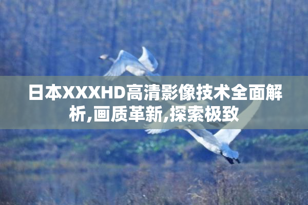 日本XXXHD高清影像技术全面解析,画质革新,探索极致