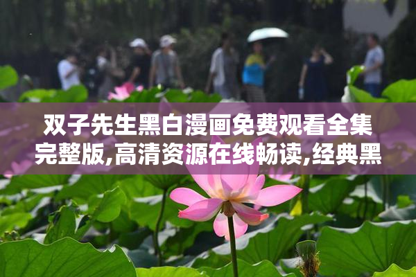 双子先生黑白漫画免费观看全集完整版,高清资源在线畅读,经典黑白