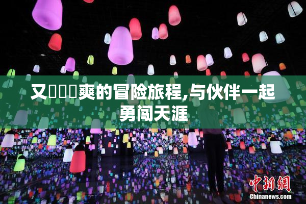 又❌莄❌爽的冒险旅程,与伙伴一起勇闯天涯