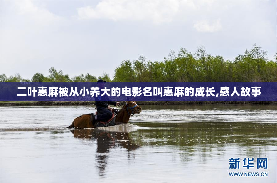 二叶惠麻被从小养大的电影名叫惠麻的成长,感人故事