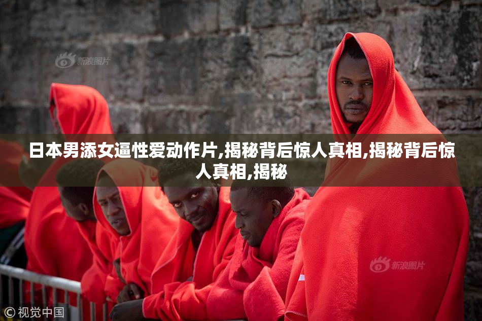 日本男添女逼性爱动作片,揭秘背后惊人真相,揭秘背后惊人真相,揭秘