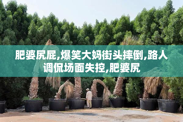 肥婆尻屁,爆笑大妈街头摔倒,路人调侃场面失控,肥婆尻