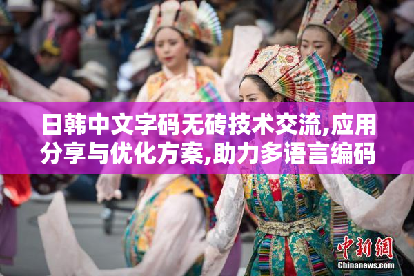 日韩中文字码无砖技术交流,应用分享与优化方案,助力多语言编码