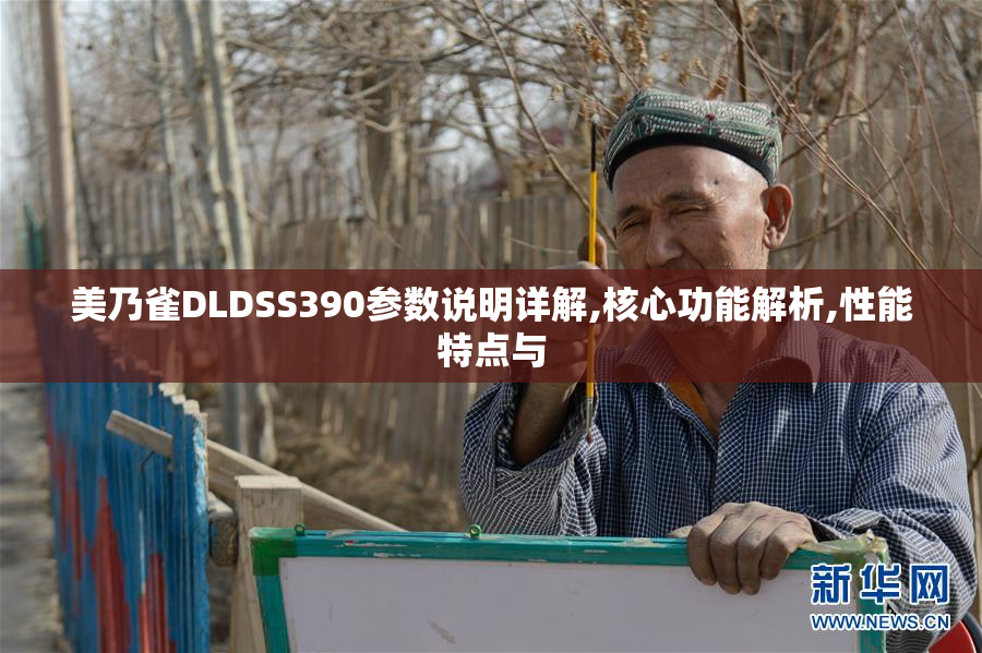 美乃雀DLDSS390参数说明详解,核心功能解析,性能特点与