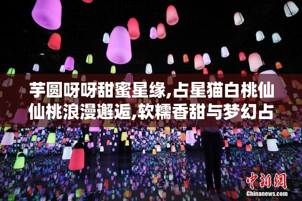芋圆呀呀甜蜜星缘,占星猫白桃仙仙桃浪漫邂逅,软糯香甜与梦幻占卜