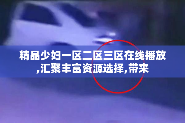 精品少妇一区二区三区在线播放,汇聚丰富资源选择,带来