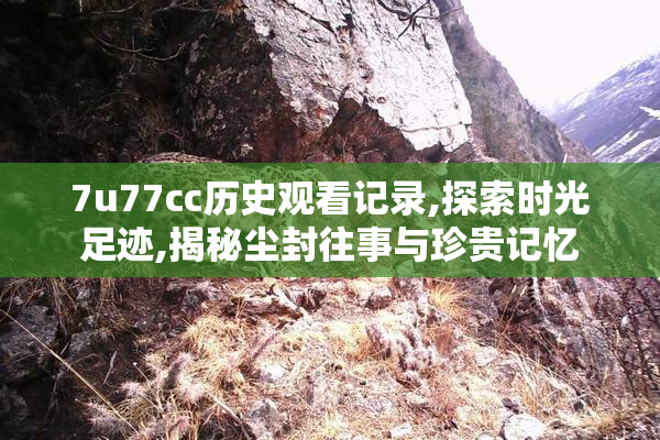 7u77cc历史观看记录,探索时光足迹,揭秘尘封往事与珍贵记忆