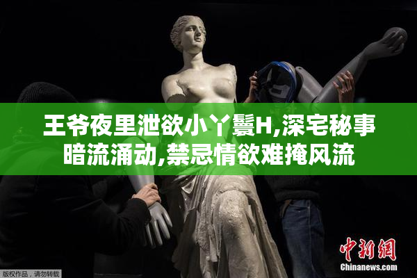 王爷夜里泄欲小丫鬟H,深宅秘事暗流涌动,禁忌情欲难掩风流