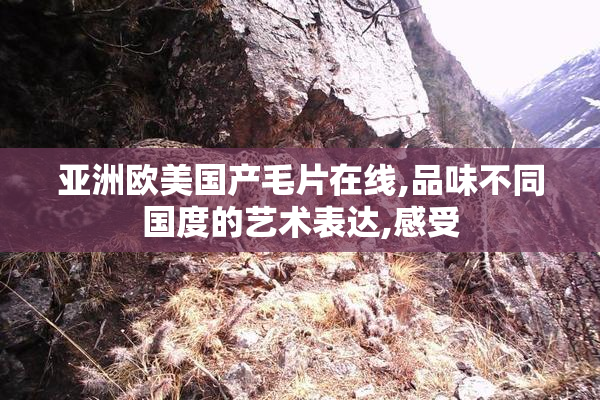亚洲欧美国产毛片在线,品味不同国度的艺术表达,感受