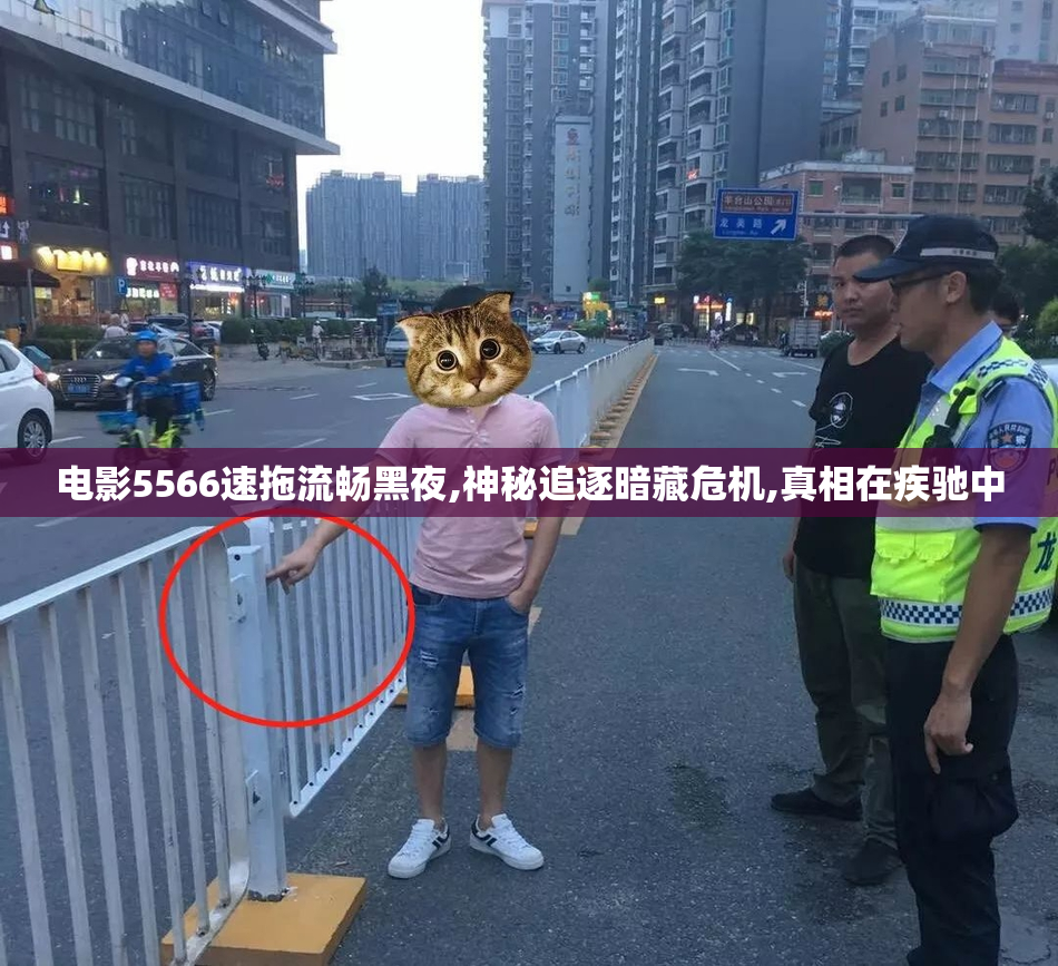 电影5566速拖流畅黑夜,神秘追逐暗藏危机,真相在疾驰中
