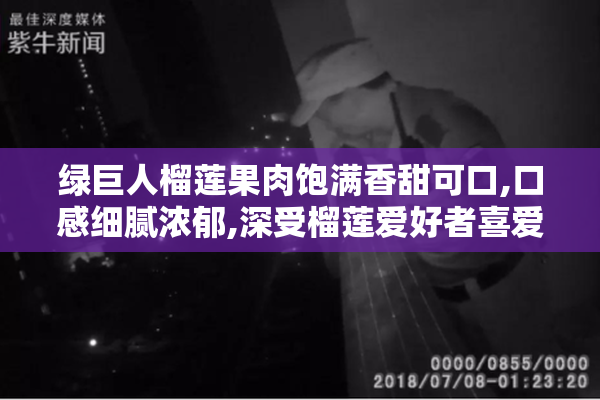 绿巨人榴莲果肉饱满香甜可口,口感细腻浓郁,深受榴莲爱好者喜爱