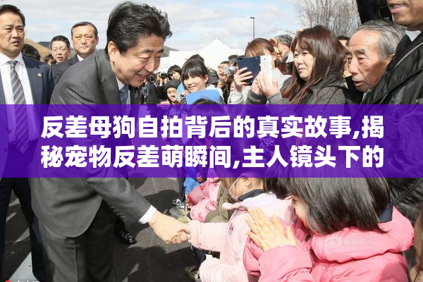 反差母狗自拍背后的真实故事,揭秘宠物反差萌瞬间,主人镜头下的