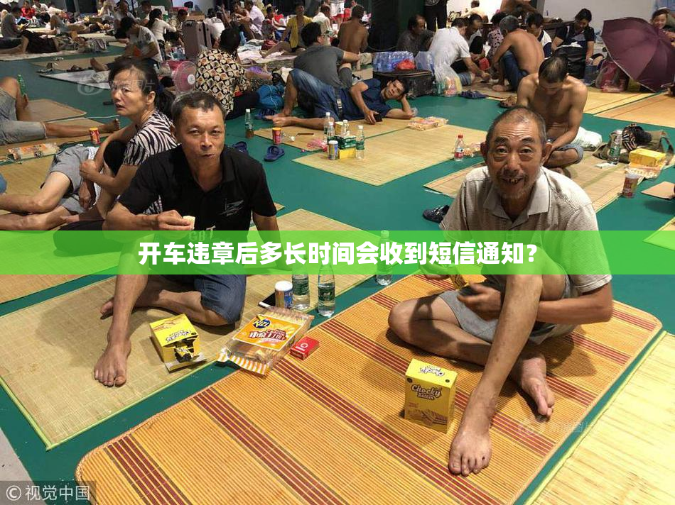 开车违章后多长时间会收到短信通知？