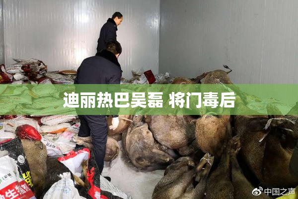 迪丽热巴吴磊 将门毒后