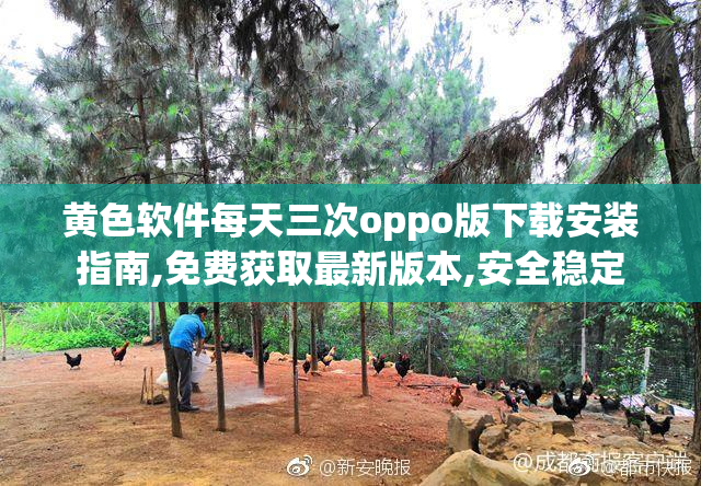 黄色软件每天三次oppo版下载安装指南,免费获取最新版本,安全稳定
