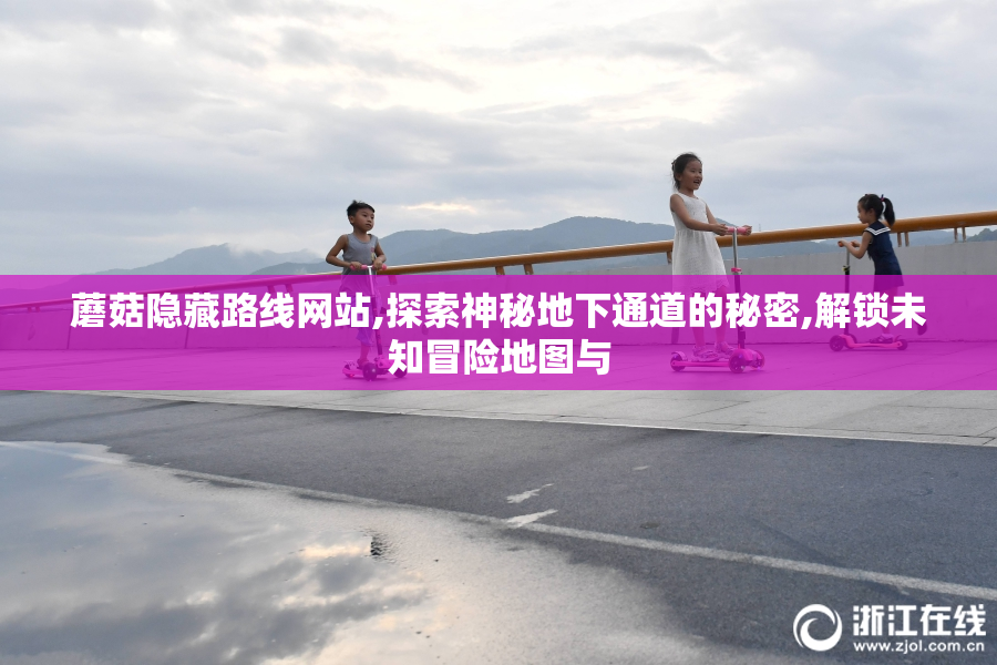蘑菇隐藏路线网站,探索神秘地下通道的秘密,解锁未知冒险地图与