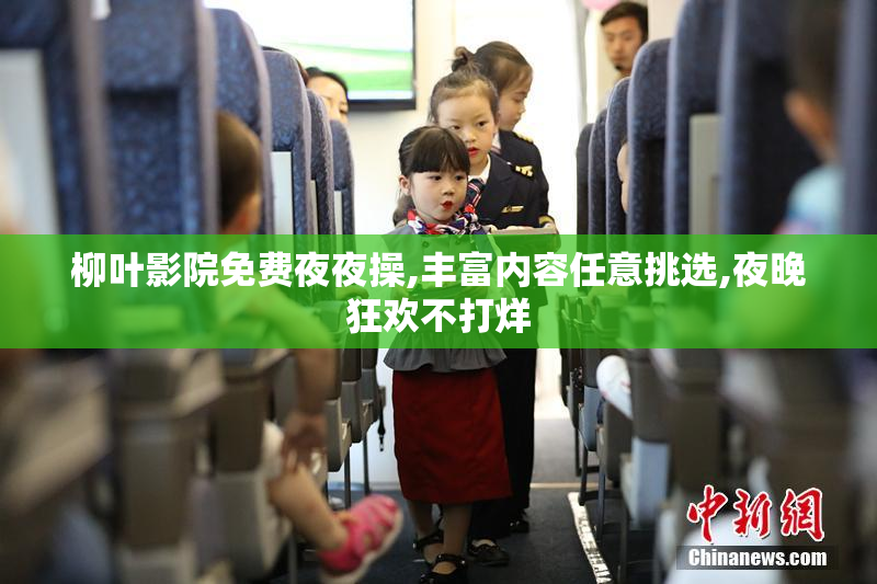 柳叶影院免费夜夜操,丰富内容任意挑选,夜晚狂欢不打烊
