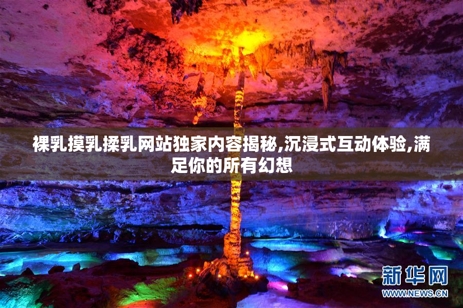 裸乳摸乳揉乳网站独家内容揭秘,沉浸式互动体验,满足你的所有幻想