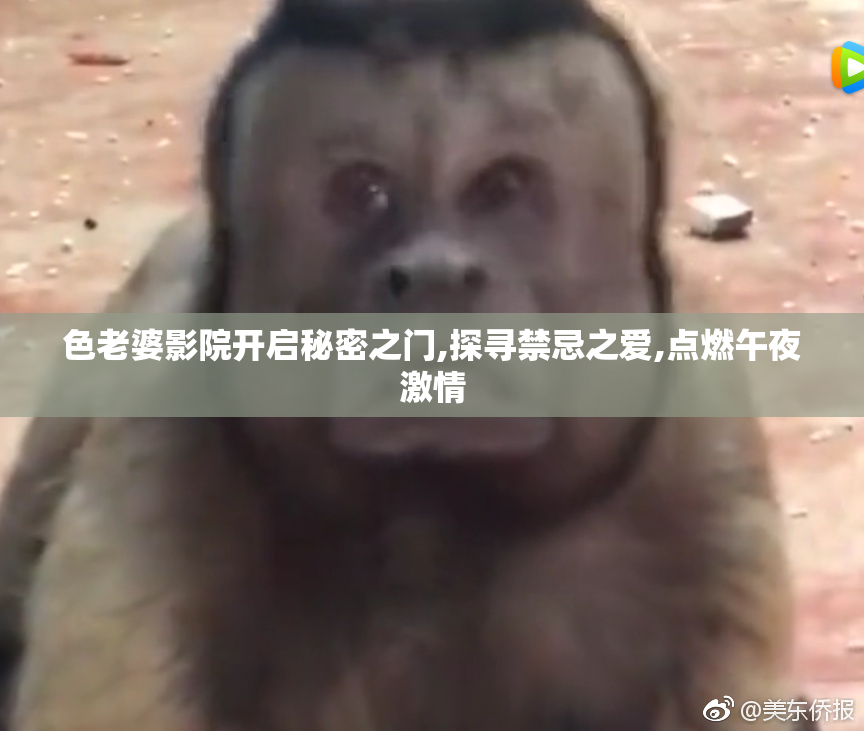 色老婆影院开启秘密之门,探寻禁忌之爱,点燃午夜激情