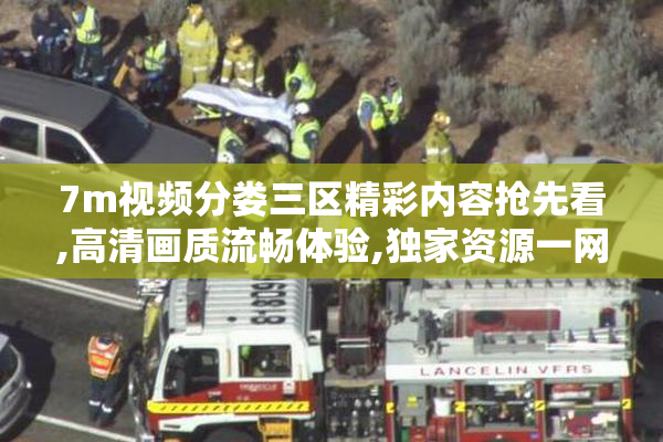 7m视频分娄三区精彩内容抢先看,高清画质流畅体验,独家资源一网打尽