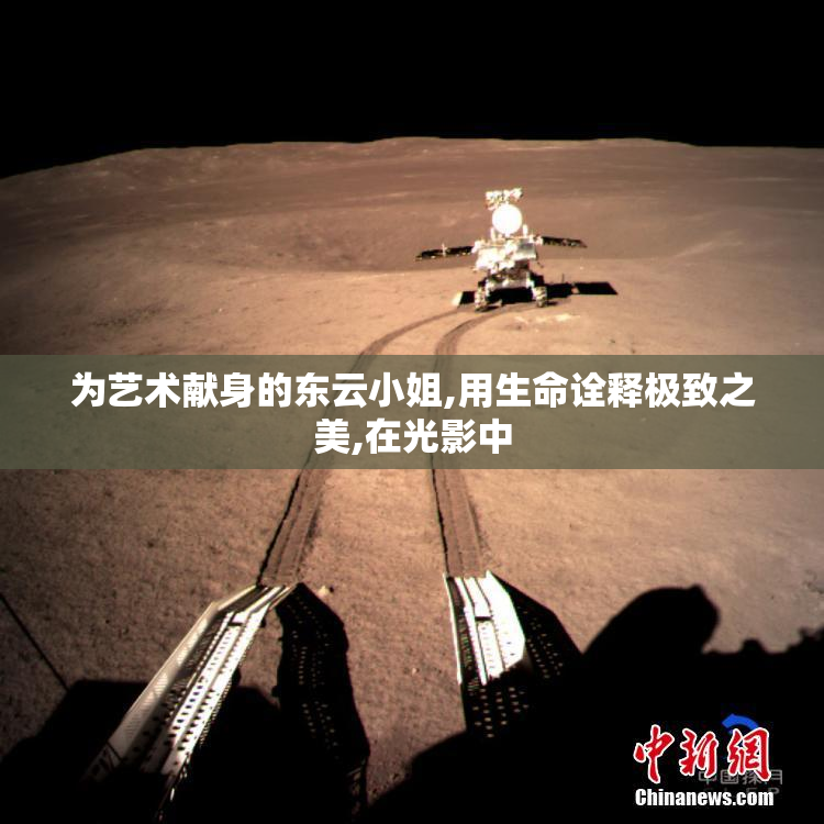 为艺术献身的东云小姐,用生命诠释极致之美,在光影中