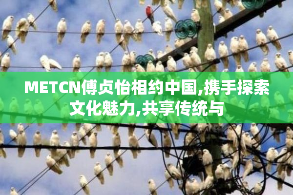 METCN傅贞怡相约中国,携手探索文化魅力,共享传统与