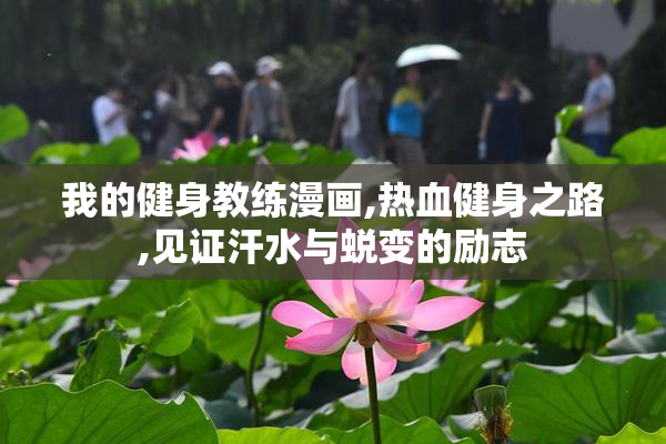 我的健身教练漫画,热血健身之路,见证汗水与蜕变的励志