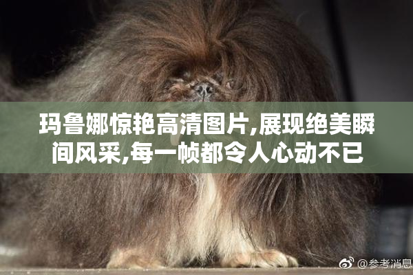 玛鲁娜惊艳高清图片,展现绝美瞬间风采,每一帧都令人心动不已
