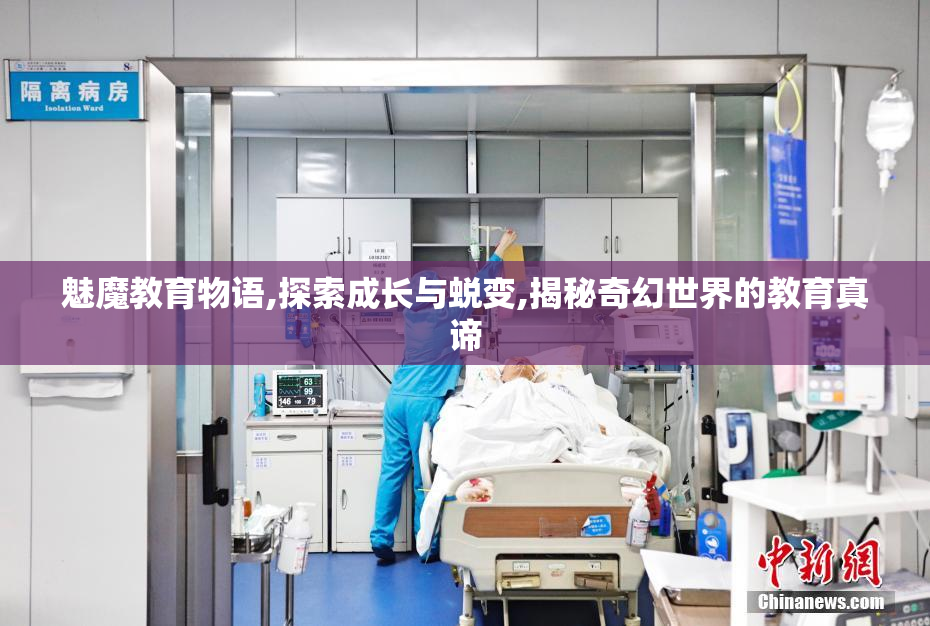 魅魔教育物语,探索成长与蜕变,揭秘奇幻世界的教育真谛