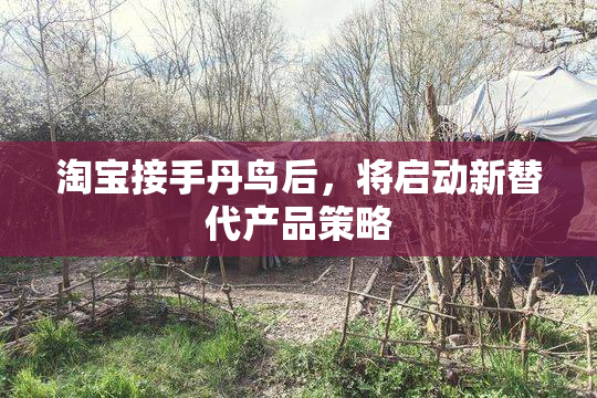 淘宝接手丹鸟后，将启动新替代产品策略