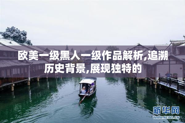 欧美一级黑人一级作品解析,追溯历史背景,展现独特的