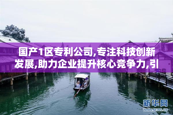 国产1区专利公司,专注科技创新发展,助力企业提升核心竞争力,引领
