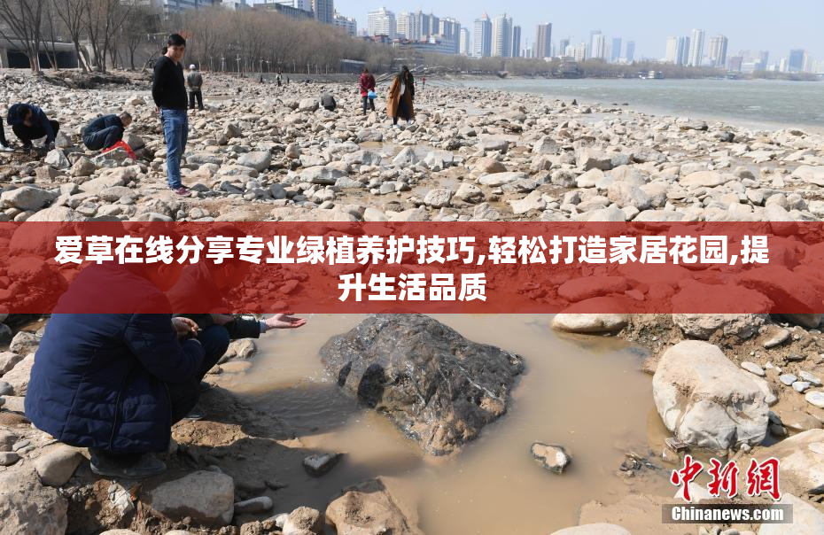 爱草在线分享专业绿植养护技巧,轻松打造家居花园,提升生活品质