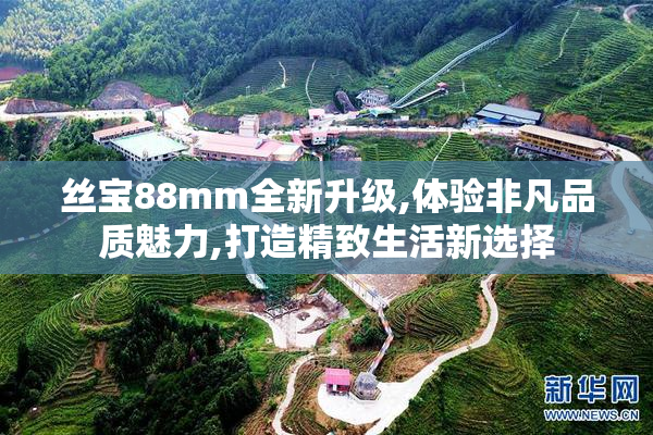 丝宝88mm全新升级,体验非凡品质魅力,打造精致生活新选择