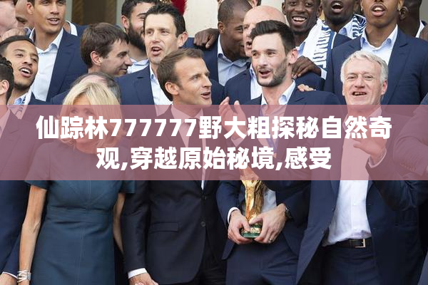 仙踪林777777野大粗探秘自然奇观,穿越原始秘境,感受