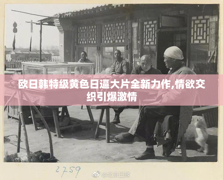 欧日韩特级黄色日逼大片全新力作,情欲交织引爆激情
