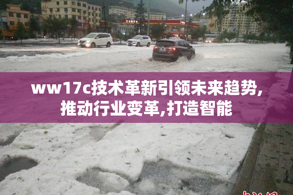 ww17c技术革新引领未来趋势,推动行业变革,打造智能