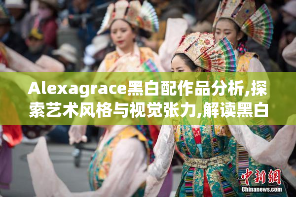 Alexagrace黑白配作品分析,探索艺术风格与视觉张力,解读黑白美学