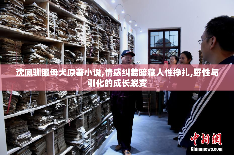 沈凤驯服母犬原著小说,情感纠葛暗藏人性挣扎,野性与驯化的成长蜕变