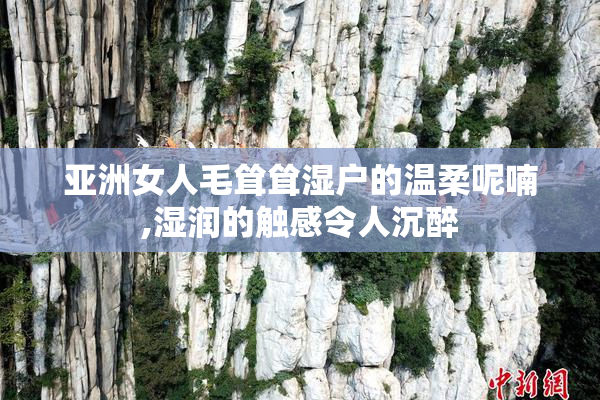 亚洲女人毛耸耸湿户的温柔呢喃,湿润的触感令人沉醉